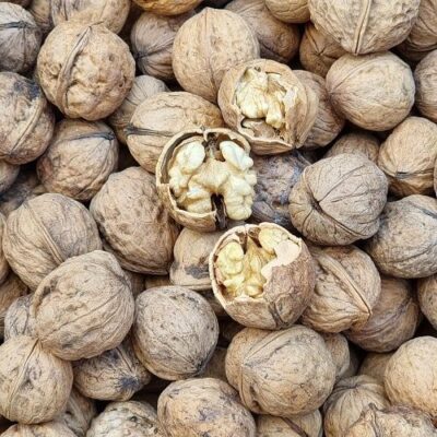 لیست محصولات خشکبار